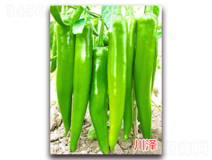 ����-�����N��-�f���r(n��ng)�I(y��)