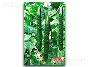 ��-�S�ϷN��-�f���r(n��ng)�I(y��)