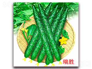 ����-�S�ϷN��-�f���r(n��ng)�I(y��)