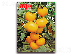 �S��-����С���t���N��-�f���r(n��ng)�I(y��)