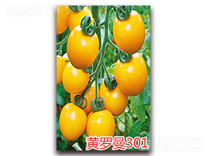 �S�_��301-����С���t���N��-�f���r(n��ng)�I(y��)