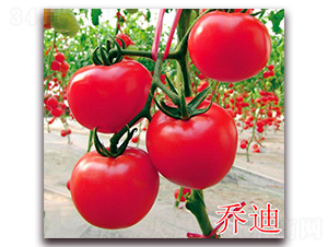 �̵�-�t�����ѷN��-�f���r(n��ng)�I(y��)