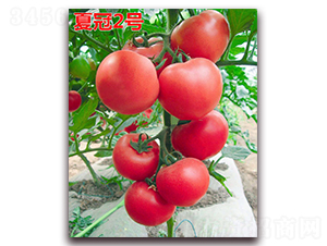 �Ĺ�2̖-�۹����ѷN��-�f���r(n��ng)�I(y��)