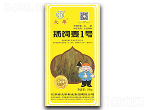 �P(y��ng)���1̖(h��o)-�����N��-���A�N�I(y��)