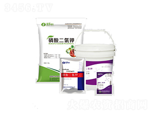 ��������ϵ��-�S���ʘI(y��)