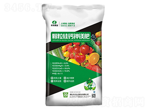 �w�����}��V��-�S���ʘI(y��)