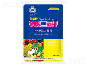 �ЙC����������-������-��˲