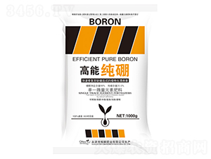 ���ܼ���-��˲