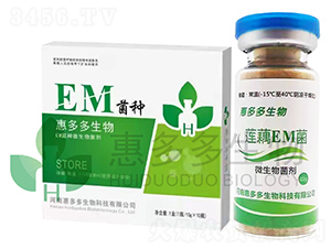 ɏźEM���N-�ݶ��