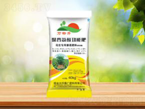 �۹Ȱ��Ṧ�ܷ�-ʢ�A�r(n��ng)�I(y��)