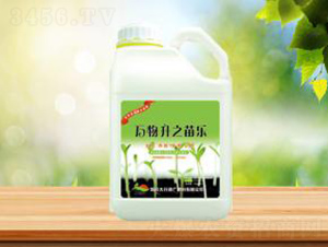 �f����֮�瘷-ʢ�A�r(n��ng)�I(y��)