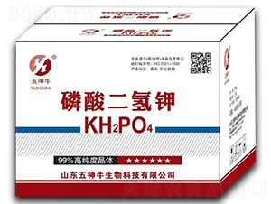 ��������-����ţ