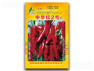 ���A�t2̖-�����N��-�t�l(f��)�N�I(y��)