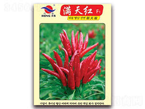 �M��t-�����N��-�t�l(f��)�N�I(y��)