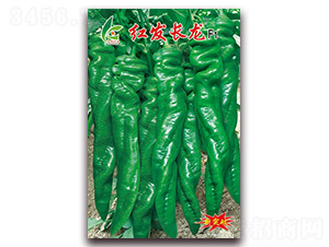 �t�l(f��)�L(zh��ng)��-�����N��-�t�l(f��)�N�I(y��)