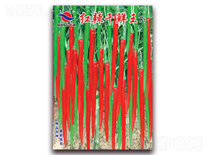 �t�����r��-�����N��-�t�l(f��)�N�I(y��)