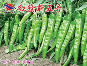 �t�l(f��)����̖(h��o)-�⽷�N��-�t�l(f��)�N�I(y��)