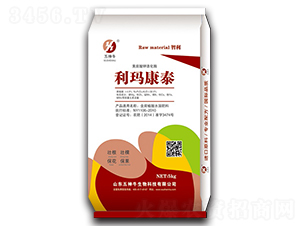 �S����⛻���ø-������̩-����ţ