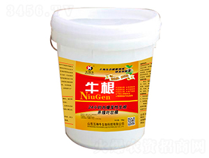 ������-ţ��-����ţ