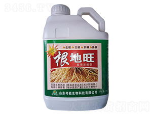 ������-������-����ţ