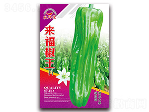 ��������-��Ƥ�ݽ��N��-�t�l(f��)�N�I(y��)