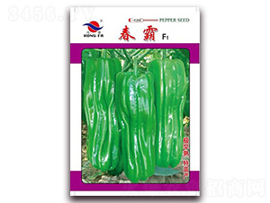 ����-��Ƥ�ݽ��N��-�t�l(f��)�N�I(y��)