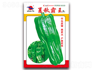 �������-��Ƥ�ݽ��N��-�t�l(f��)�N�I(y��)