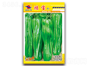 ����-��Ƥ�ݽ��N��-�t�l(f��)�N�I(y��)