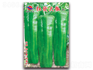 �t�l(f��)��-��Ƥ�ݽ��N��-�t�l(f��)�N�I(y��)