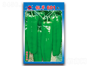 �O��601-��Ƥ�ݽ��N��-�t�l(f��)�N�I(y��)