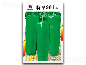 ����901-��Ƥ�ݽ��N��-�t�l(f��)�N�I(y��)