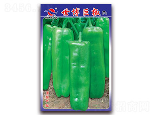 �����޽�-��Ƥ�ݽ��N��-�t�l(f��)�N�I(y��)