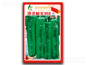 ��ӽ���958-��Ƥ�ݽ��N��-�t�l(f��)�N�I(y��)