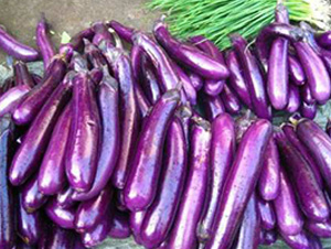 ���ӷN��-��ϣ��