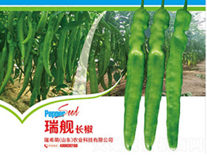 ��Ş�L(zh��ng)��-�����N��-��ϣ��