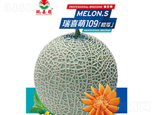 ��ϲ��109-��ϷN��-��ϣ��