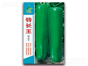 ���L(zh��ng)��-��Ƥ�ݽ��N��-�t�l(f��)�N�I(y��)