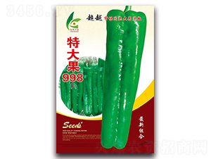 �ش��998-��Ƥ�ݽ��N��-�t�l(f��)�N�I(y��)