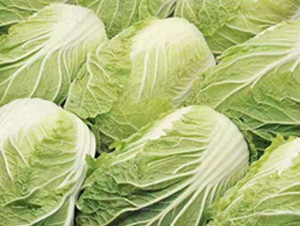 ��ײ˷N��-��ϣ��