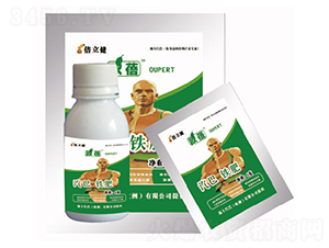 �F��-������-�����r(n��ng)�I(y��)