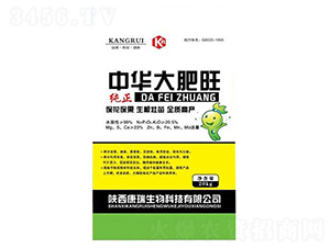 ���A�����-��������