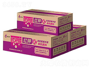 �t�-��������