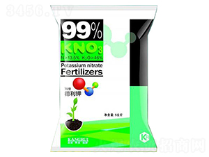 �����-��������