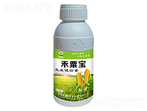 ���׽�����-���ڌ�-��Mӯ