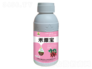 �t��������-���ڌ�-��Mӯ