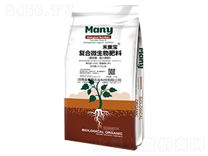 ��(f��)��΢�������-���ڌ�-��Mӯ