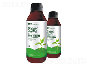 ��������Һ-�f(w��n)ķ��(y��u)-��������