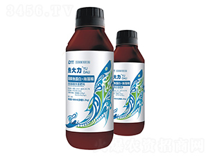 �����~����+���徫-�~����ƿ�b-��������