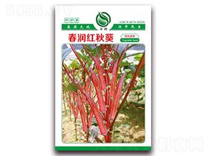 �����t���-�߲˷N��-�����N�I(y��)