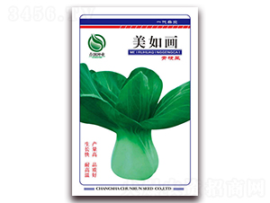 ���箋-�๣�˷N��-�����N�I(y��)